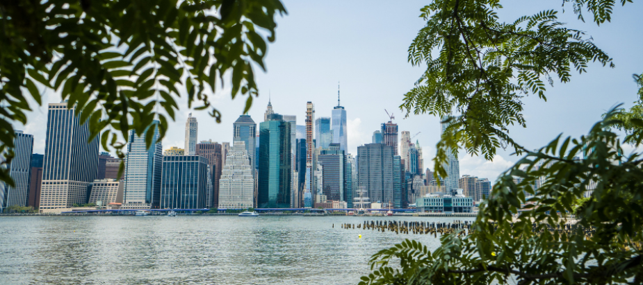 Brooklyn Bridge Park