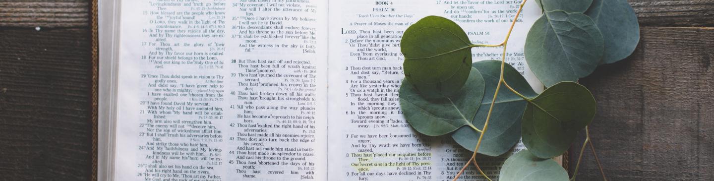 Prayer Guide header