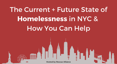 Rescue Alliance-Homelessness in NYC