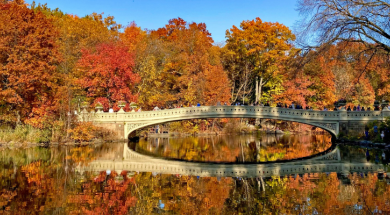 Central Park